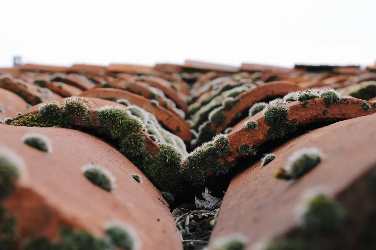 Roofing